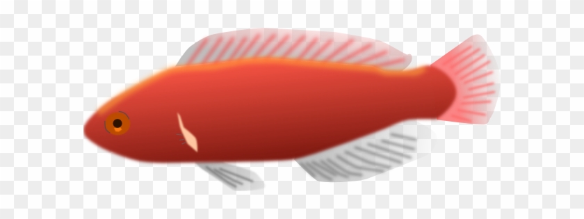 Free Vector Fish Clip Art - Free Vector Fish Clip Art #812348