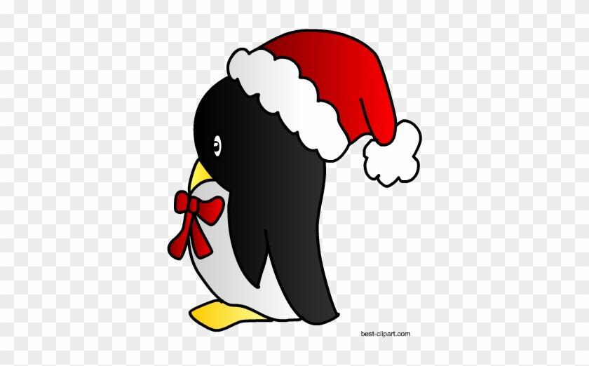 Penguin In Christmas Hat Clip Art - Penguin #146970