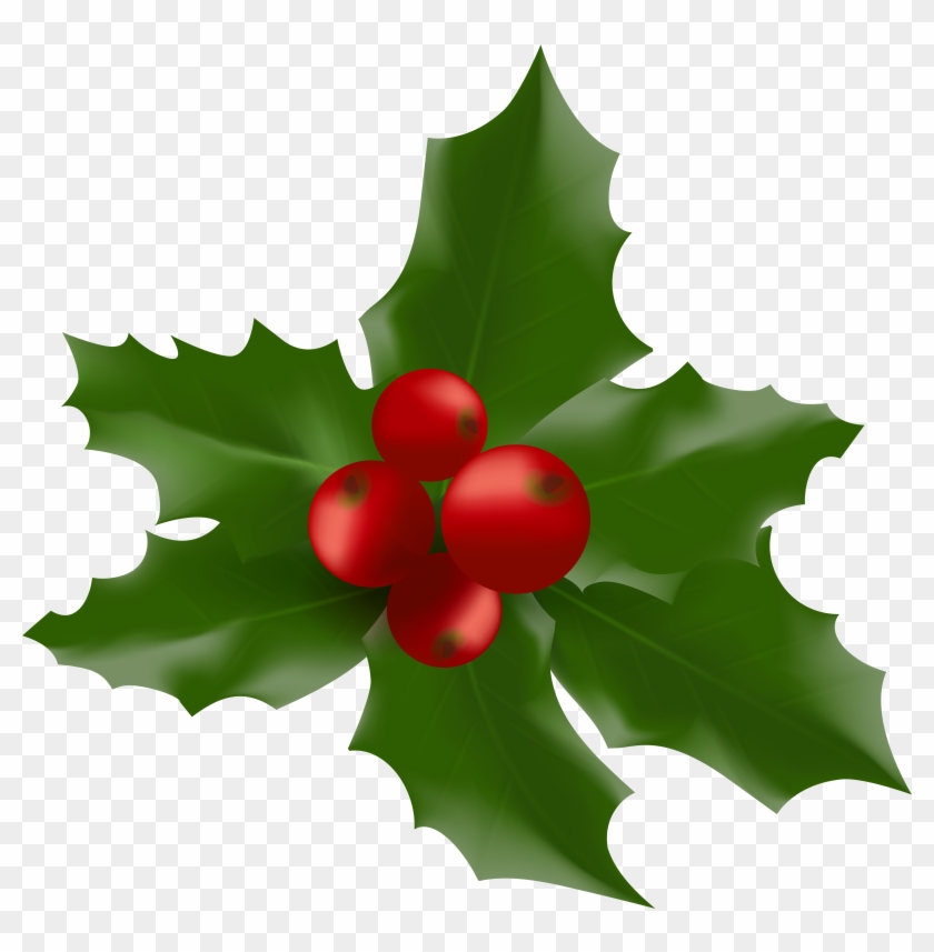 Christmas Holly Clip Art - Clip Art - Free Transparent PNG Clipart ...