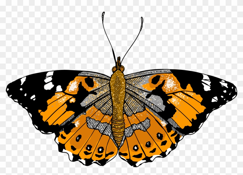 Monarch Butterfly Clipart One - Illustration #816862