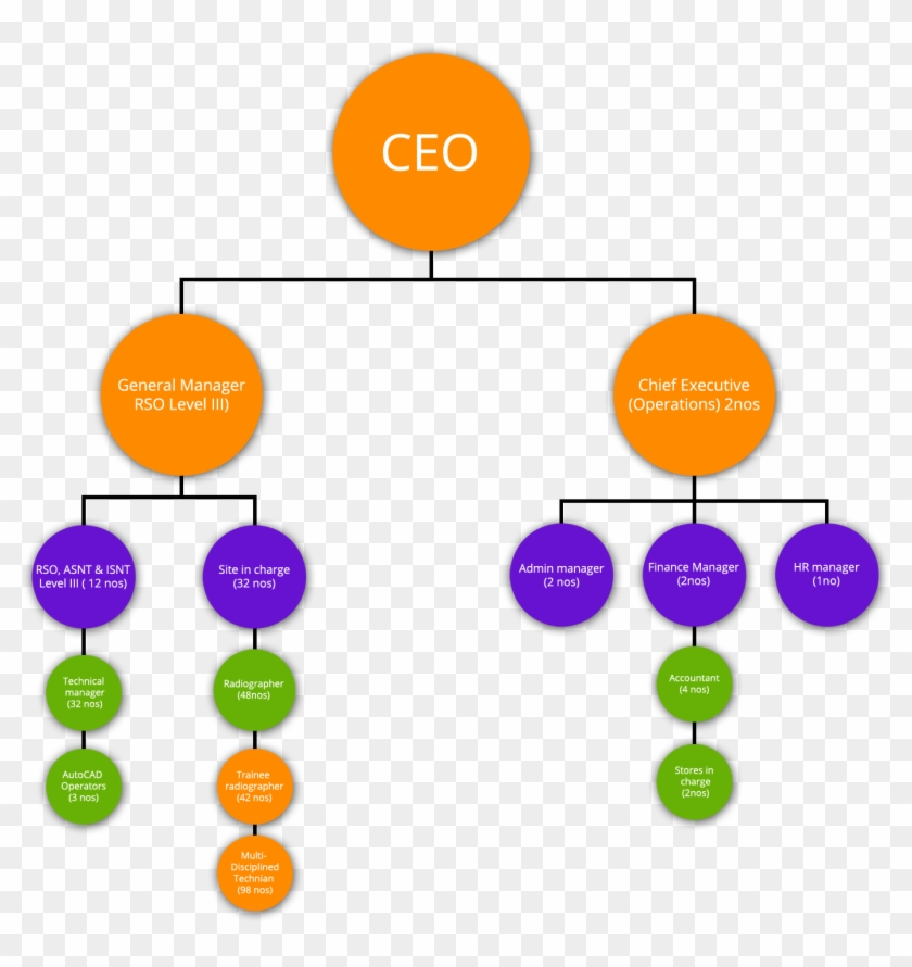 Organisation Structure - Diagram #818201