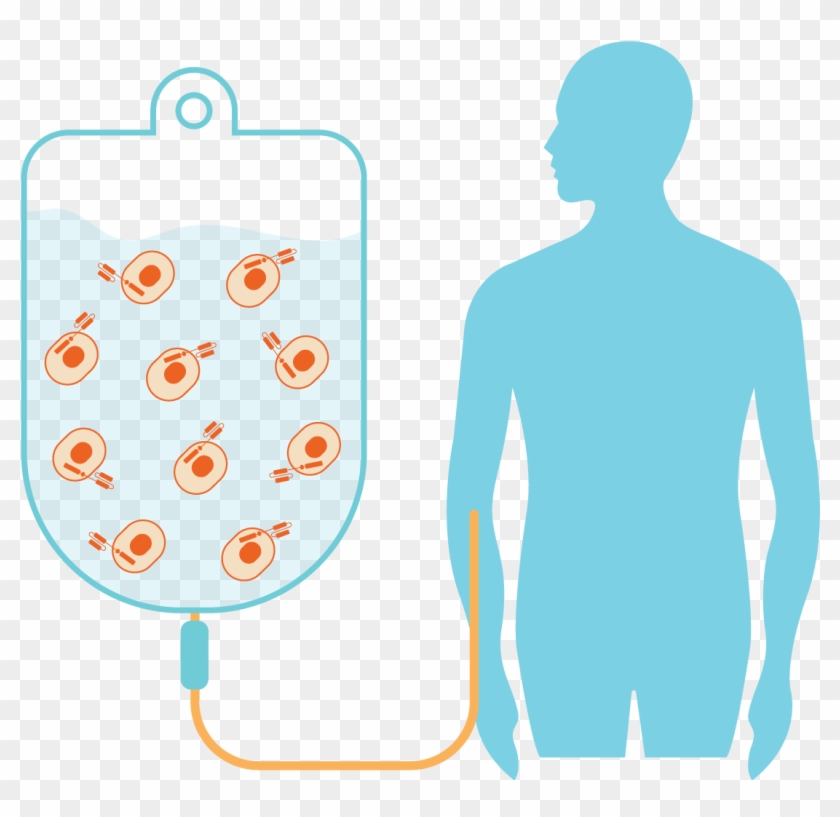 Clinical Cell Therapy Biomarker Discovery And Product - Illustration #819549