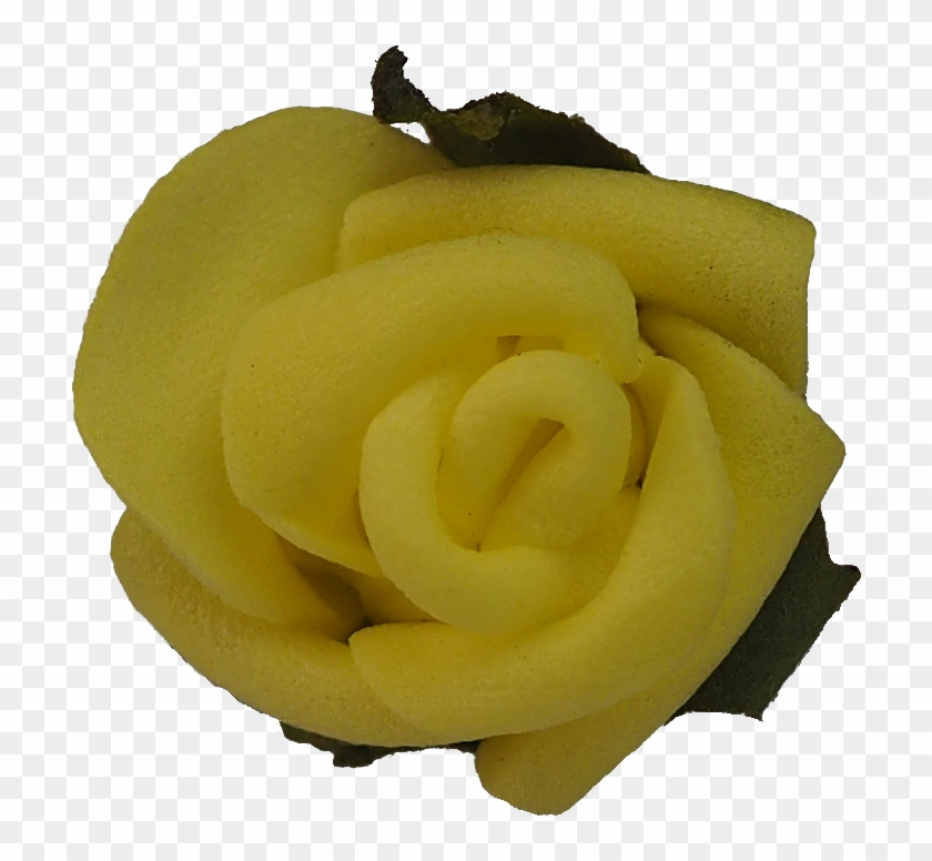 Rose #820467