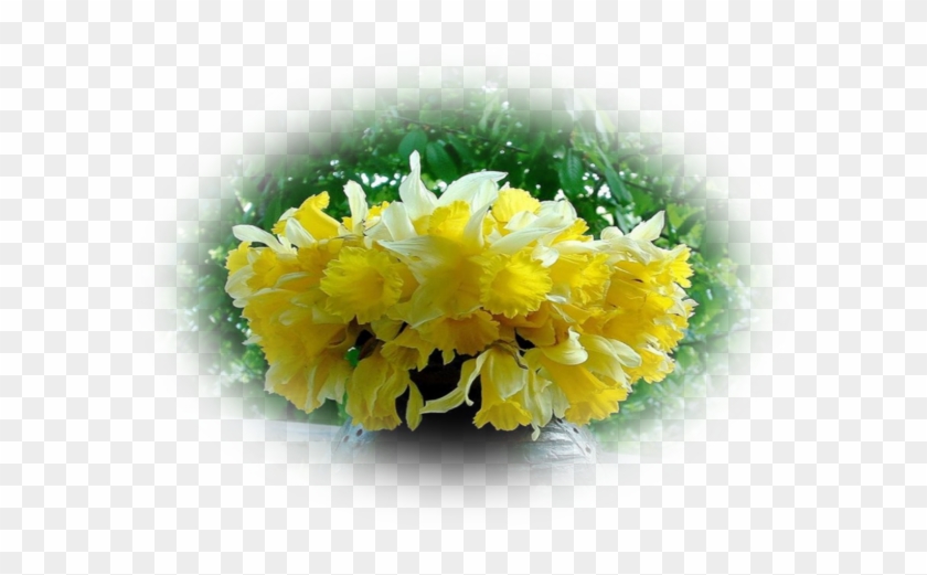 Mes Tubes Fleurs - Chrysanths #820582