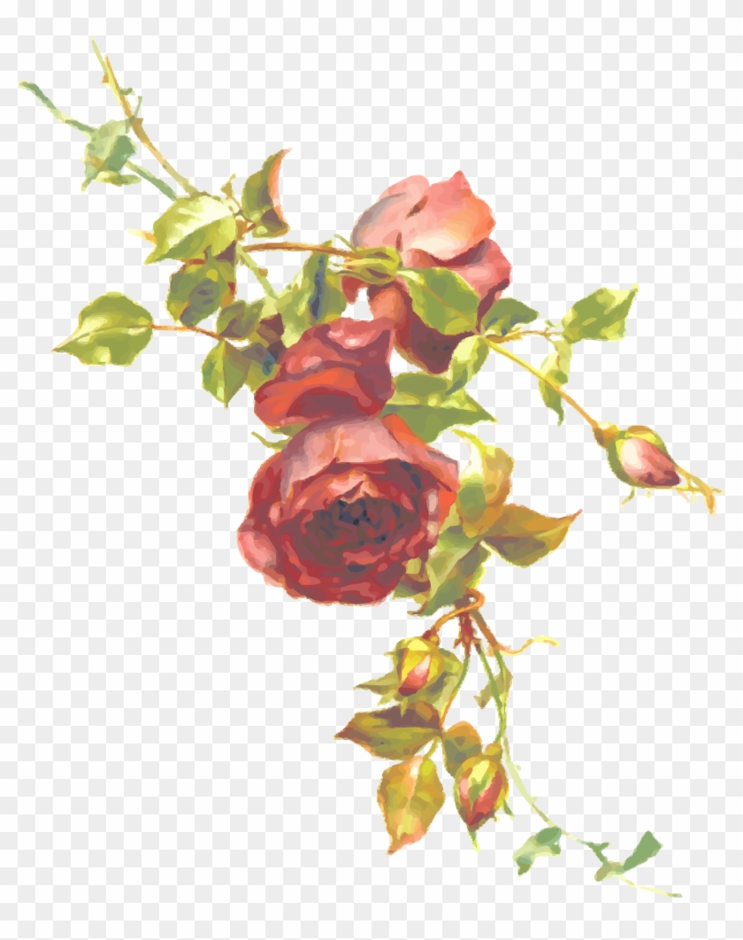 Big Image - Vintage Roses #824541