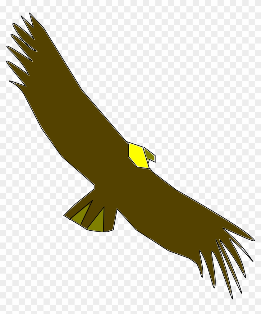 Condor Clip Art Download - Condor .png #824960