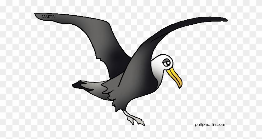 Albatros Clipart - Free Clip Art Albatross #824975