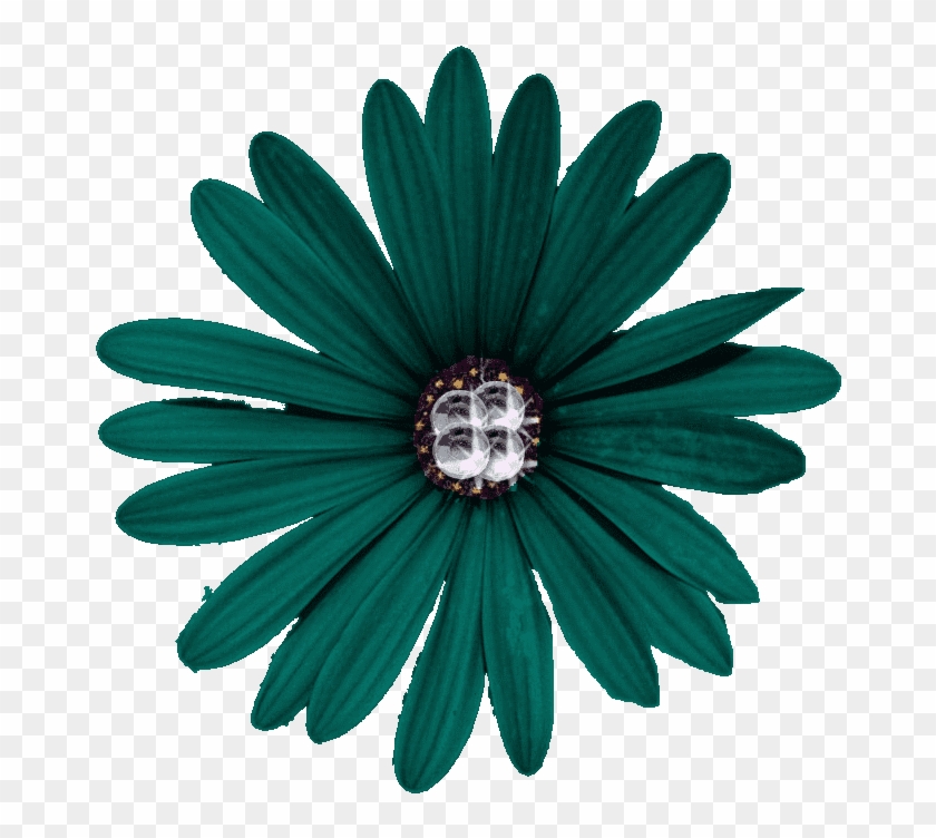 Free Flower Clip Art Images - Flower Pngs #825301