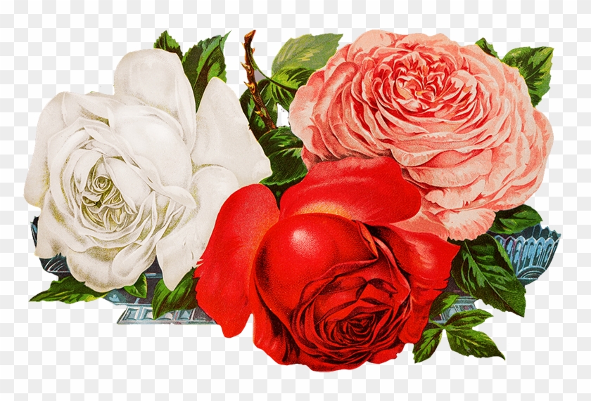 Scrapbooking Roses - Rose #826334