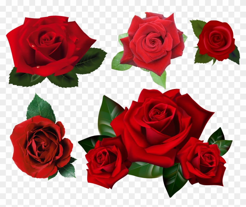 Roses Pack Png Stock By Gilgamesh-art - Transparent Background Roses Transparent #826506