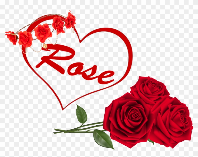 Rose Png Clipart - Rosas Rojas Png - Free Transparent PNG Clipart Images Download