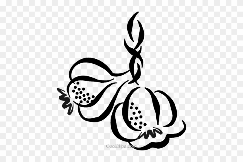 Garlic Cloves Royalty Free Vector Clip Art Illustration - Garlic Cloves Royalty Free Vector Clip Art Illustration #828176