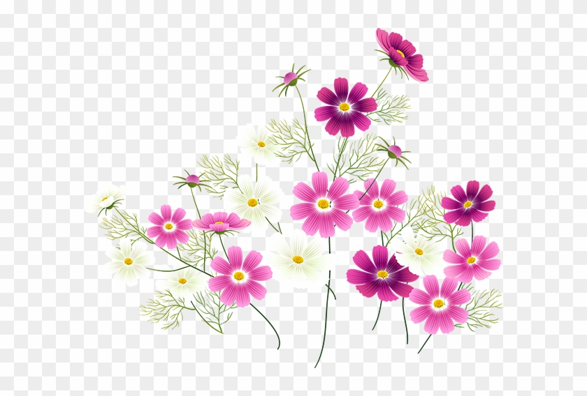 Wildflower Clipart Cosmos Flower - Fikih Wanita & Keluarga #829499