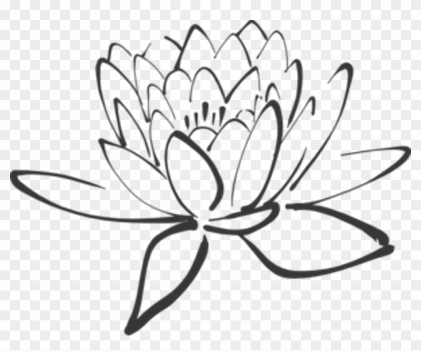 Unique Stock Of Lotus Flower Pictures Black And White - Black And White Lotus #830334