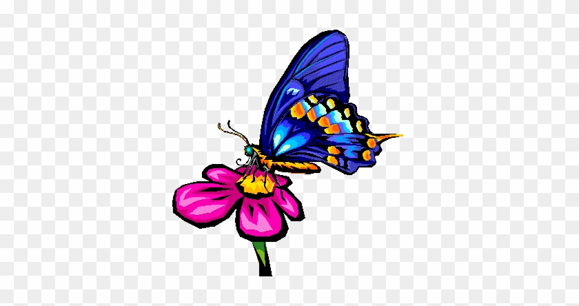 butterfly on flower clipart