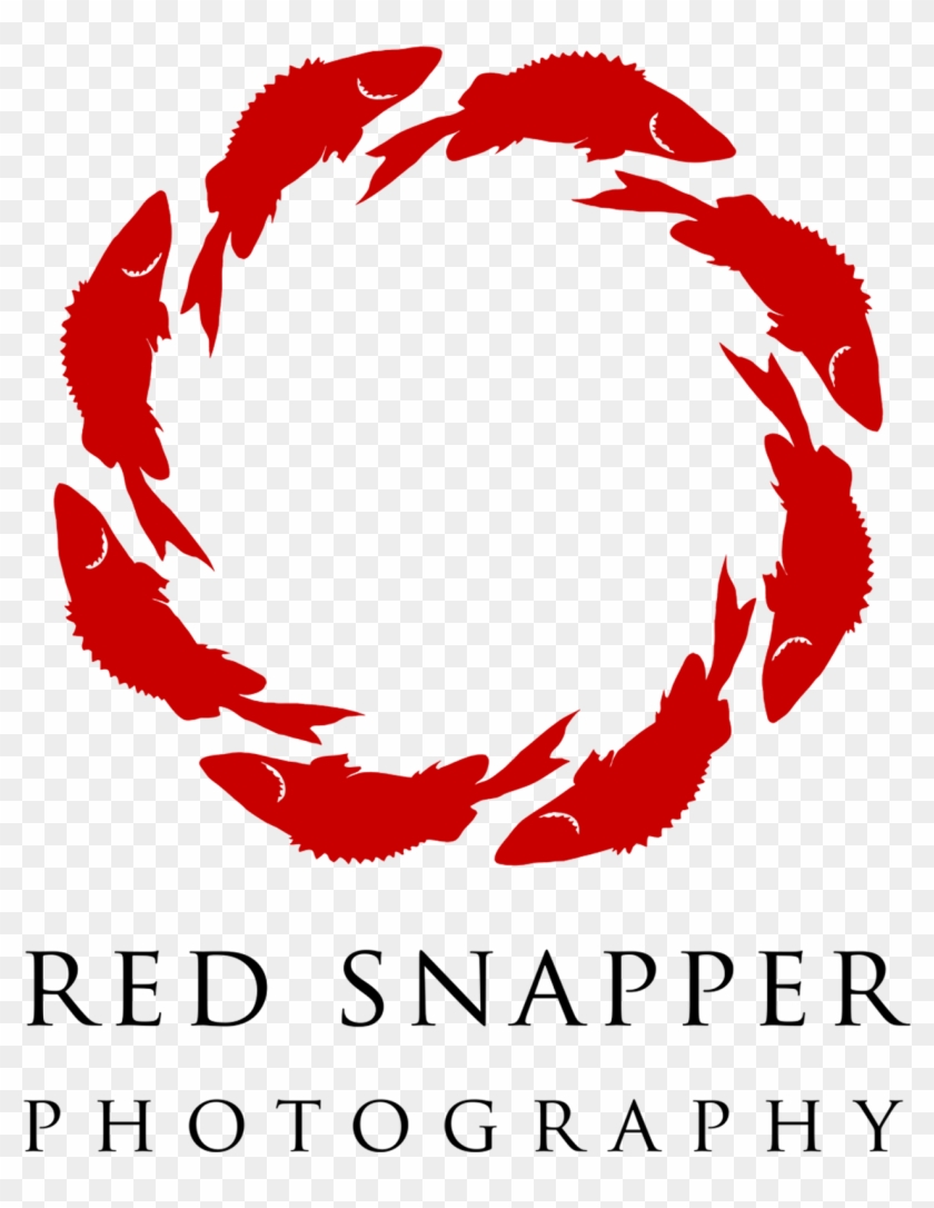 Red Snapper #831634