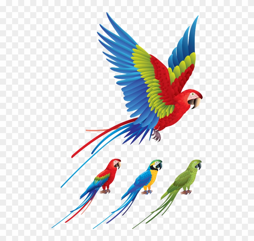 Parrot Bird Red And Green Macaw Clip Art - Parrot Vector Free #831977