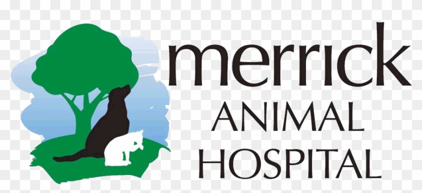 Merrick Animal Hospital - Castle Rock #832005