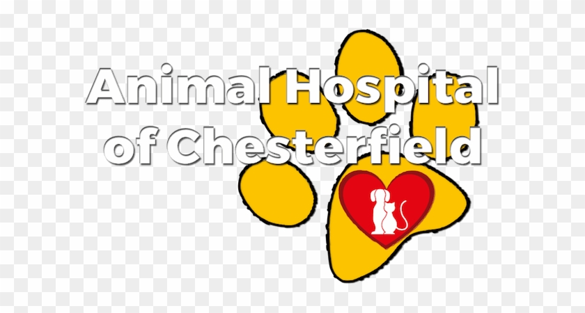 Animal Hospital Of Chesterfield - Animal Hospital Of Chesterfield #832008