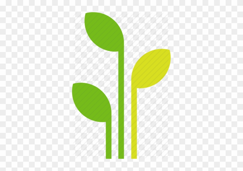 Potted Plant Icon - Plant Icon #835066