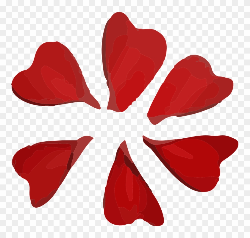 Petalo De Flor Png #837852