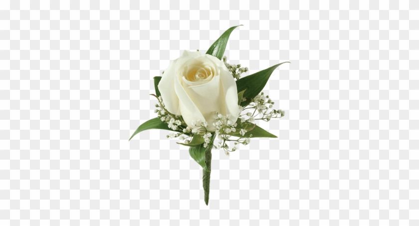 White Rose Boutonniere - Louisville #839055