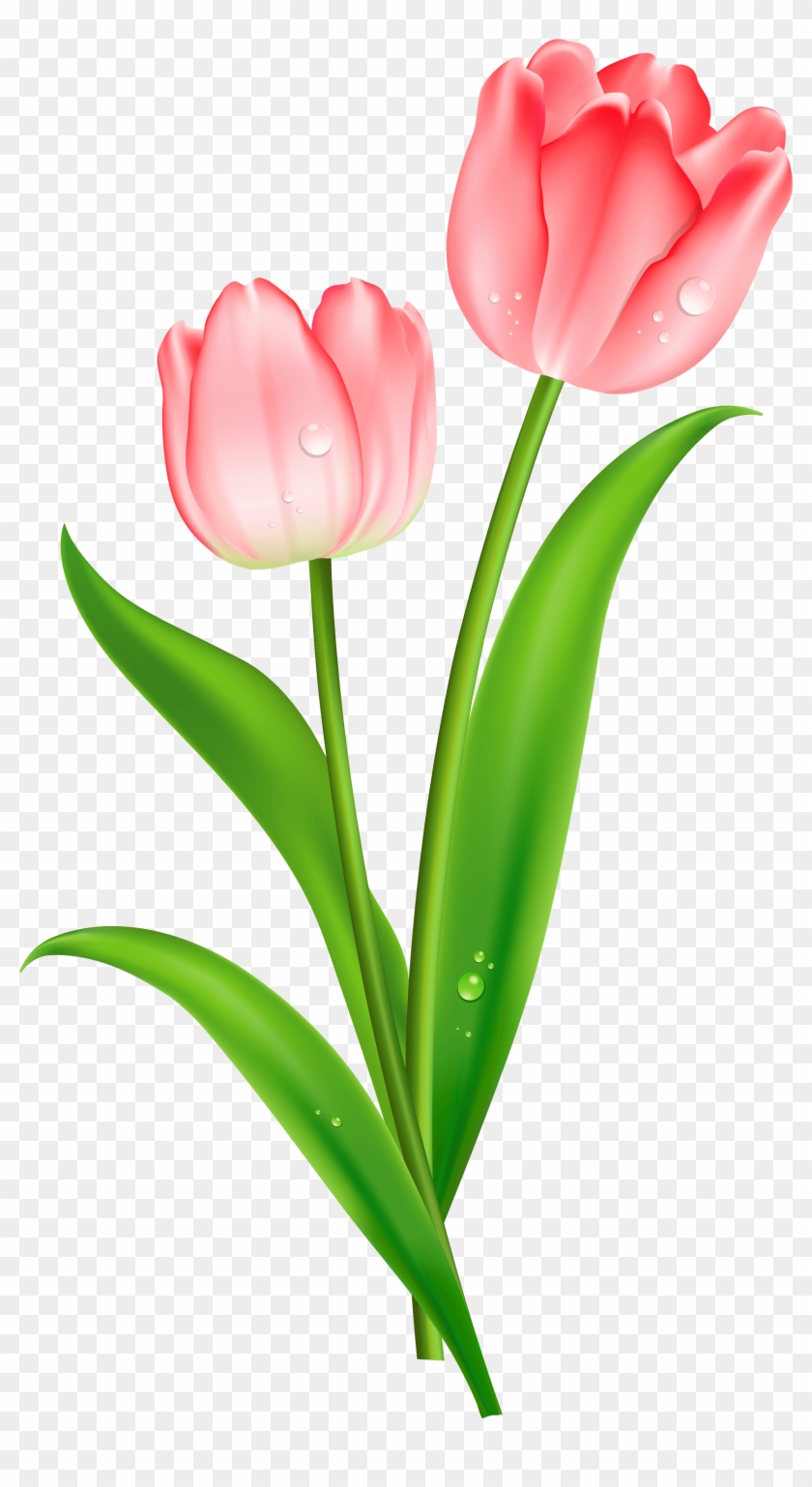 Red Tulips Clipart - Psalms 46 7 Kjv #849366