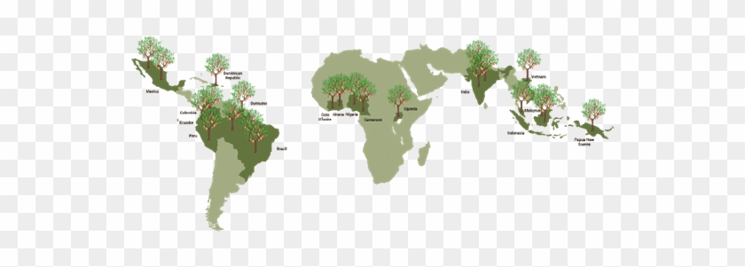 As The Cocoa Plant Is Extending Its Growth And Population, - British Empire Evolution Gif #850166