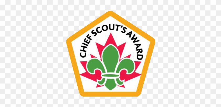 Chief Scout, Jason Liu - North Star Award Beavers #851123