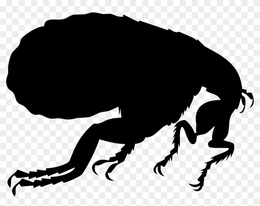 Dog Flea Silhouette Illustration - Flea Vector #855400