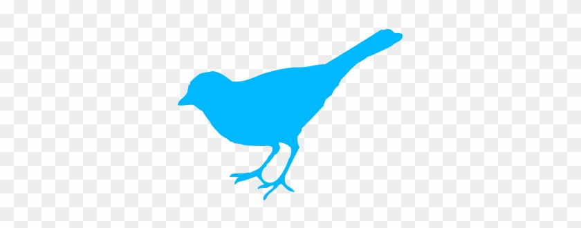 Bluebird Clip Art #856046