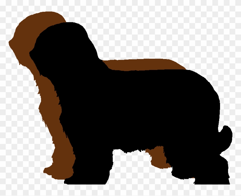 Latest Show Results - Logo Briard #856133