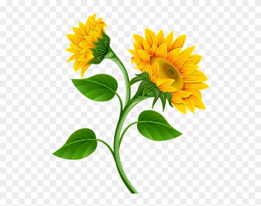 Sunflower Clipart 1 Sunflower Clipart 2 Sunflower Clipart - Sunflower ...