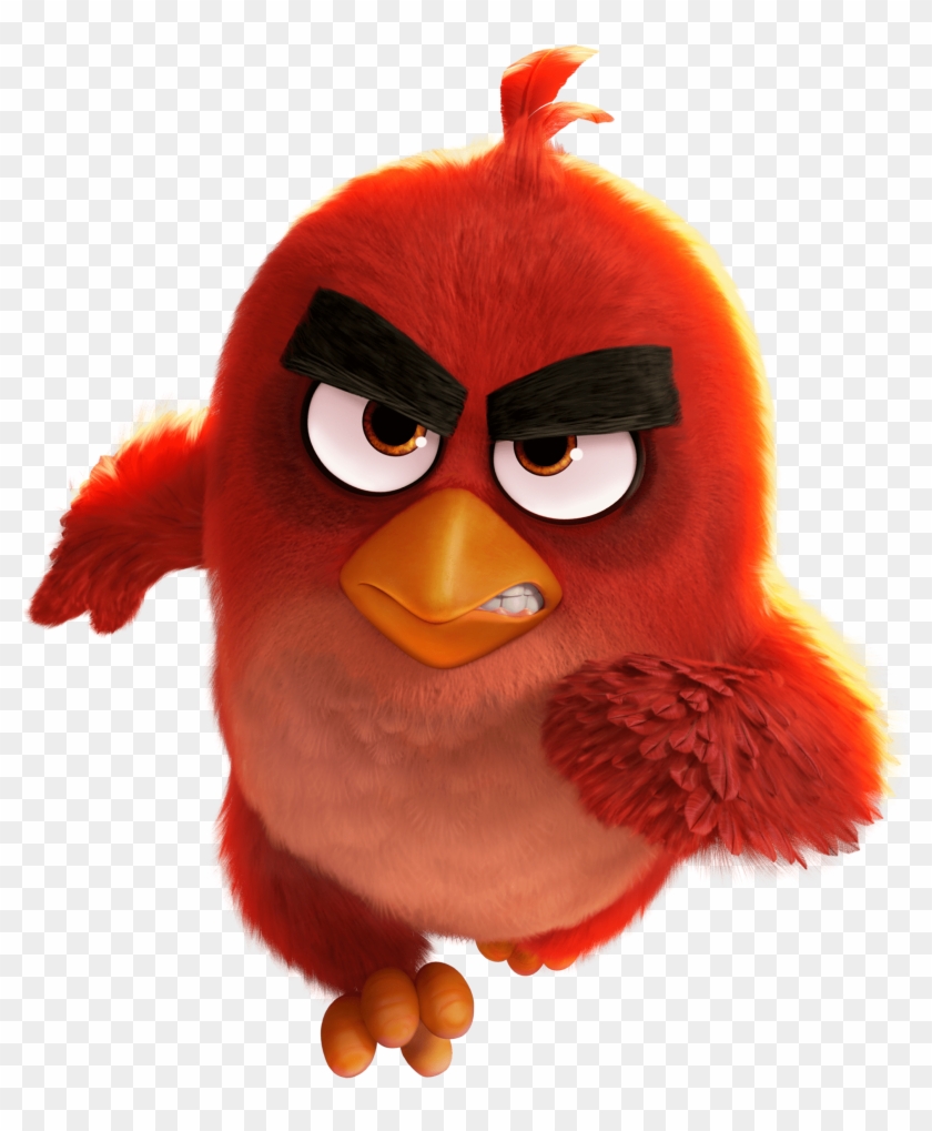 angry birds characters red