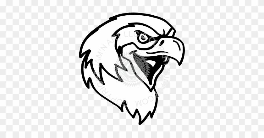 Draw A Eagle With Its Mouth Open #858183