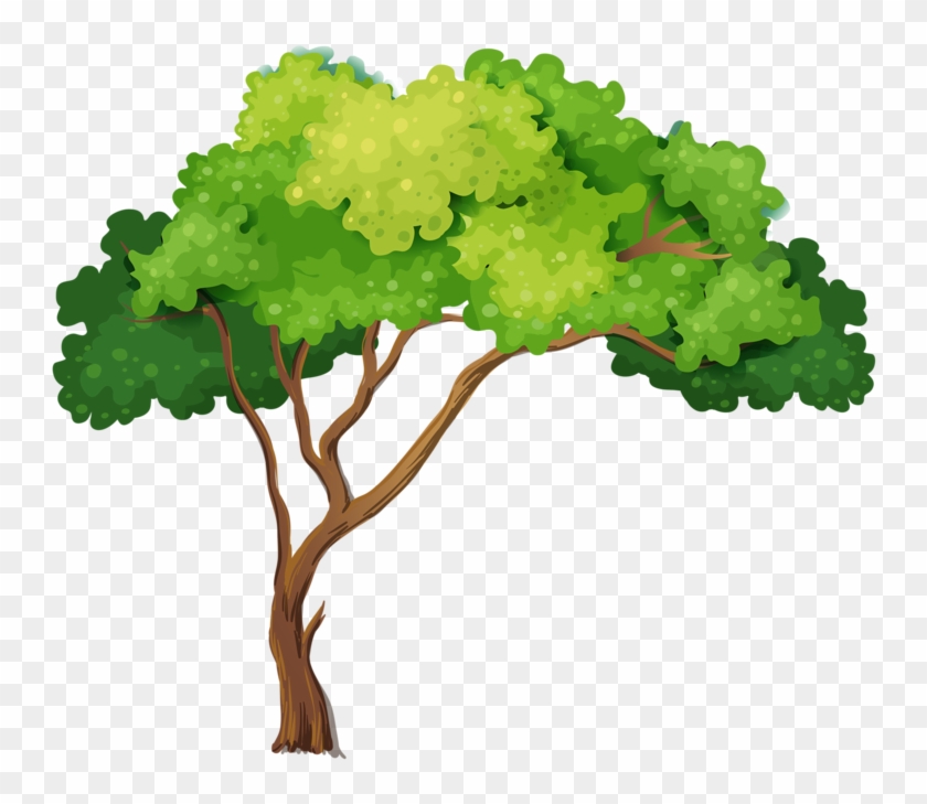 Album - Tree Close Up Clipart #859800