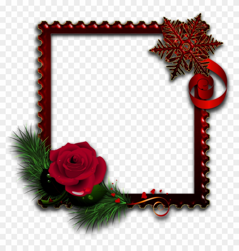 frame photo download rose free Clipart  Download  PNG Frames Free Photo Rose Transparent