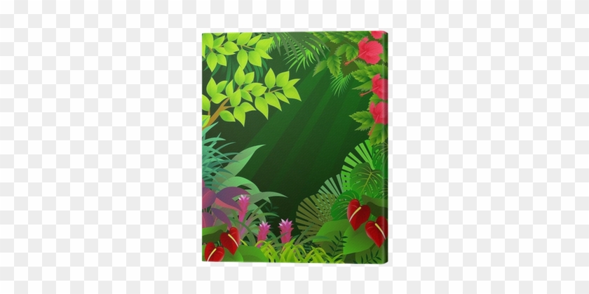 rainforest adventure clipart