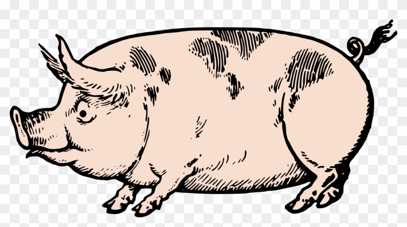 Cute Vintage Pig Clip Art & Stock Vector Oh So Nifty - Vintage Pig Clip Art #159869