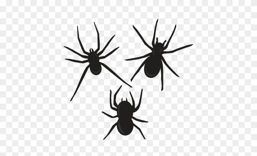 Spider Svg Cutting Files For Scrapbooking Halloween Free Halloween Svg Cutting Files Free Transparent Png Clipart Images Download