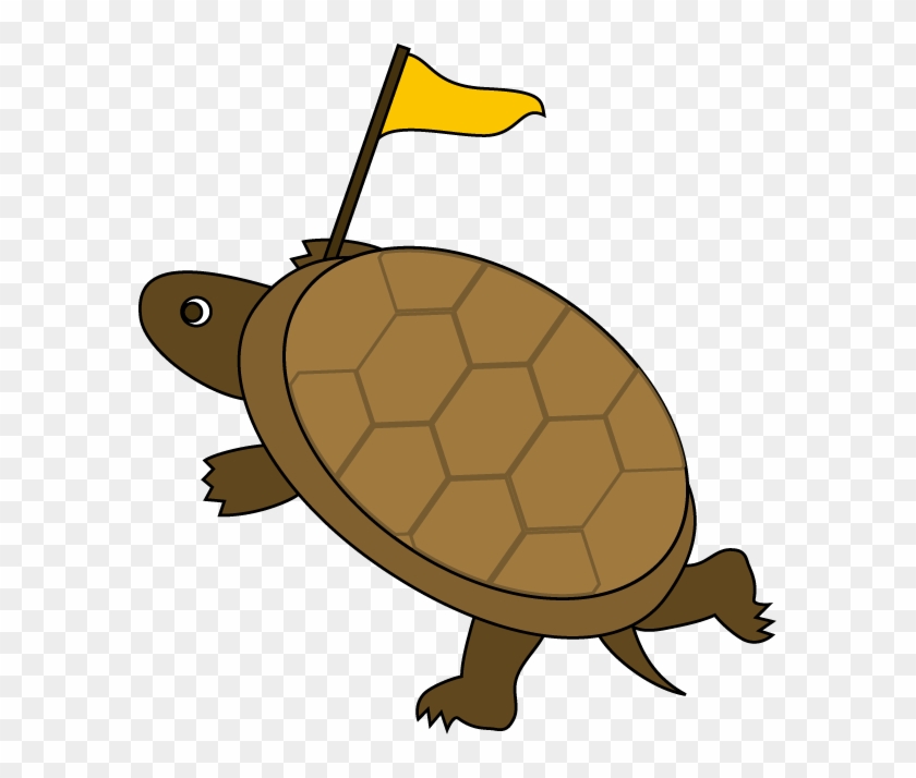 Tortoise - Clipart - Clip Art #162590