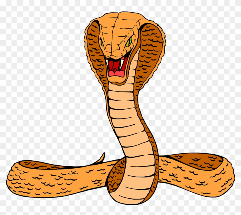 Cobra snake drawing – Line art illustrations