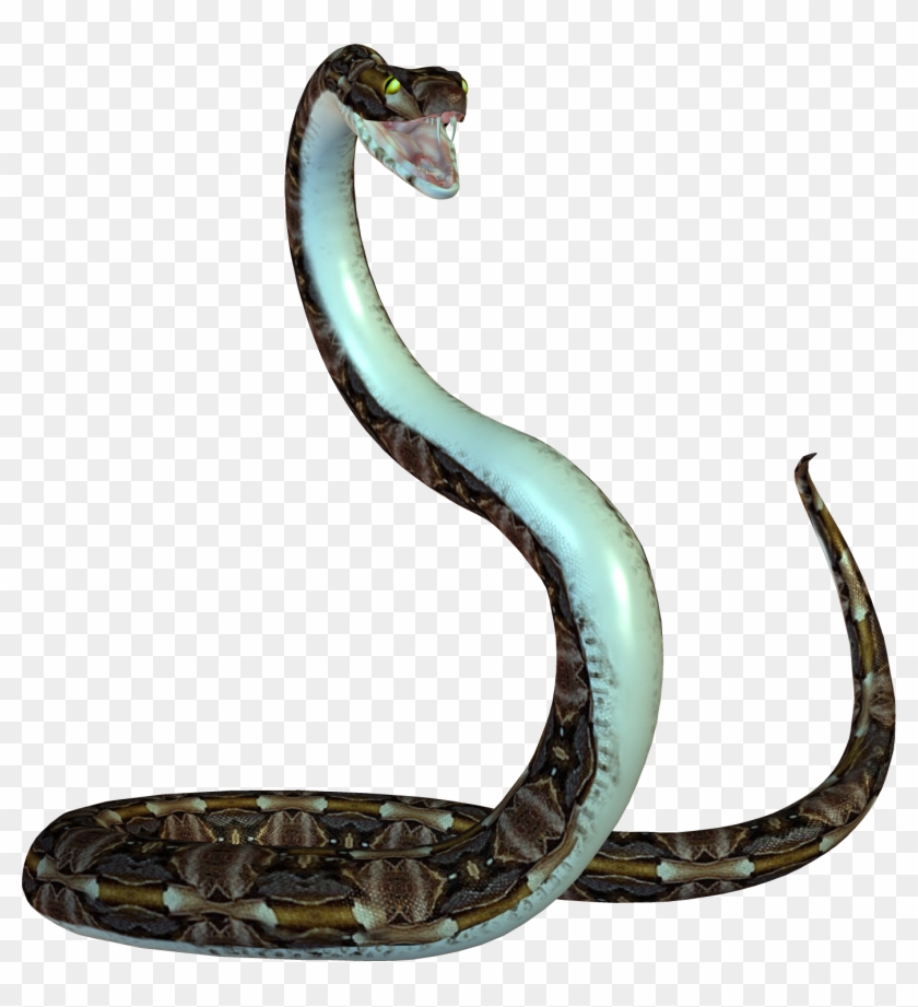 Picture Download Snake Image - Snake Png Transparent Background - Free  Transparent PNG Clipart Images Download