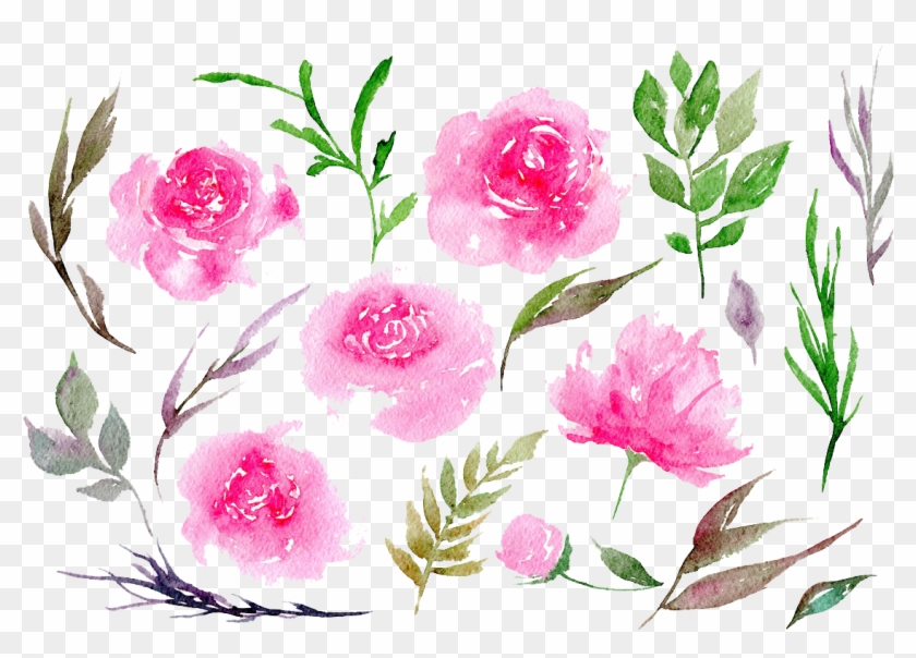 Peony Clipart Transparent - Portable Network Graphics #862193