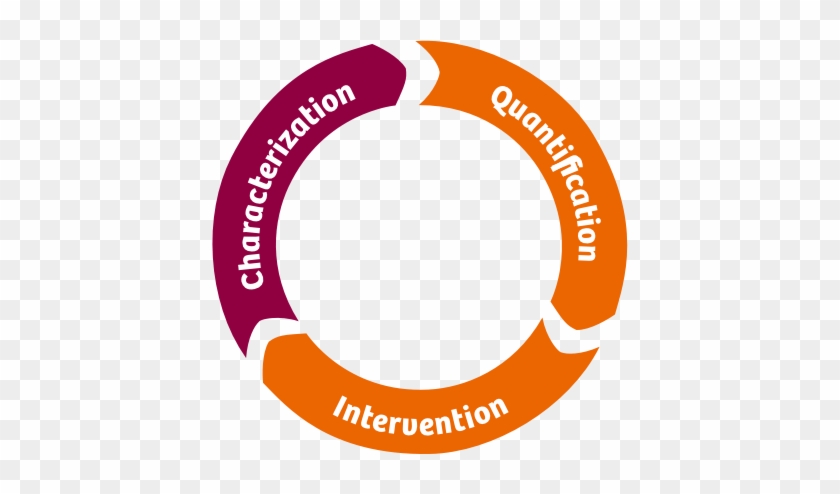 Interactive Image Quiz - Circle #862293