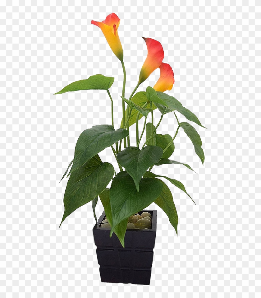 Buy Fourwalls Polyurethane Artificial Real-touch Calla - Plants #862585