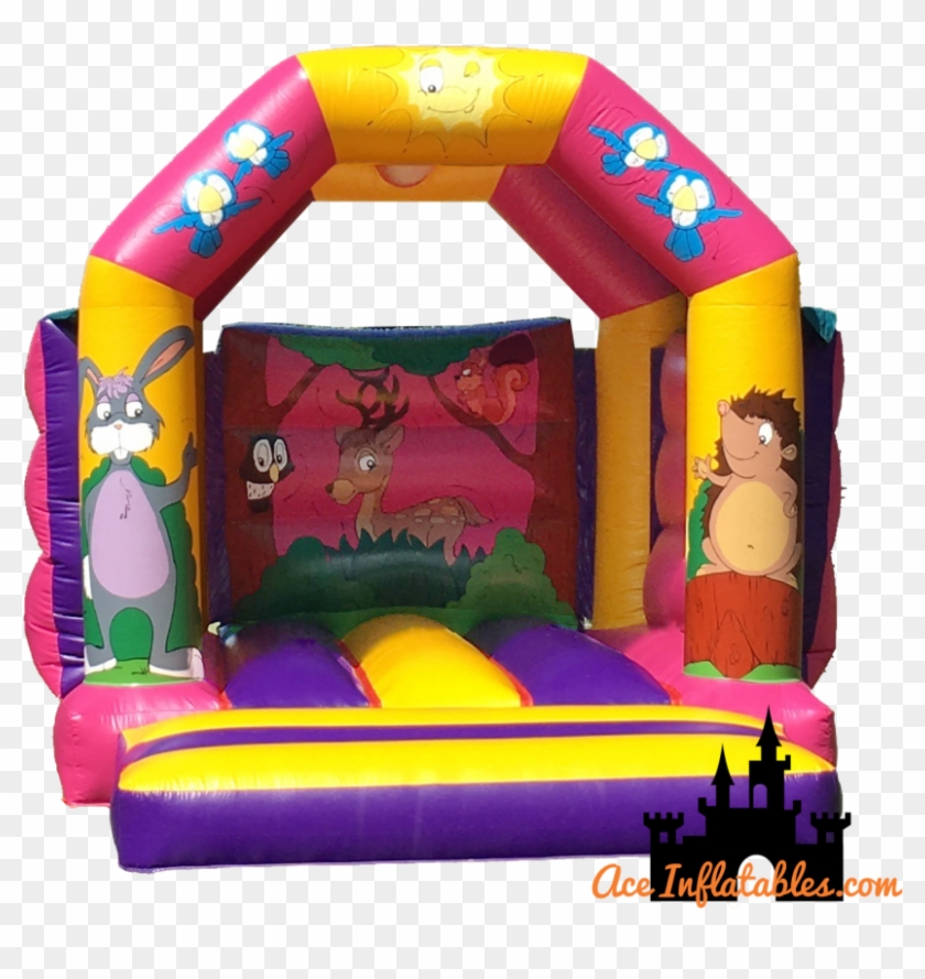 Why Ace Inflatables - Castle #865717