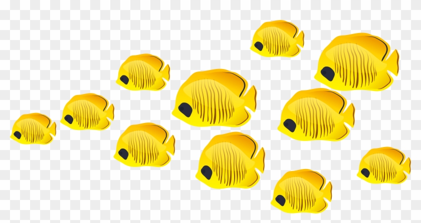 Fish Clip Art - Fish Clip Art #866611