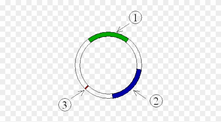 Plasmid #867459