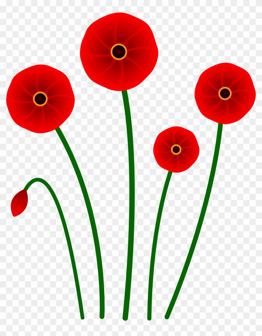 Single Poppy Flowers Clipart - Red Poppy Clipart #869260